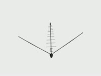 Обзор - Всеволновая телевизионная антенна L012.20