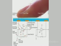 Инструкция к применению - Емкостной метод биометрической идентификации ...