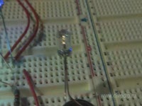 Обзор - Светодиоды BL-L542