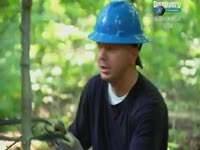 Крутые лесорубы - Discovery. Лесовозы.