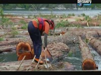 Крутые лесорубы - Discovery. Только вертолетом.