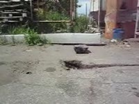 Выход бура из пилотной скважины (гнб)