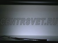 Светодиодная лента Multi White (мульти белый) вид сзади