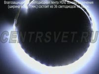 Влагозащищенная светодиодная лента MINI боковая