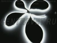 Светодиодная лента DreamLED 120