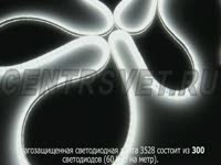 Влагозащищенная светодиодная лента SMD 60 LED 3528 IP