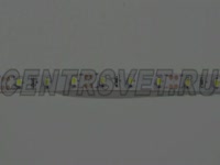 Светодиодная лента DreamLED 60