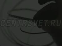 Светодиодная лента DreamLED SIDELIGHT (Бокового свечения)