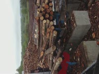 Окорочный станок Cambio 45