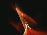 Петля со встроенным BLUMOTION анимация