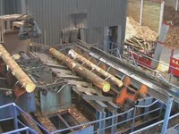 Система подачи пиловочника в лесопильную линию