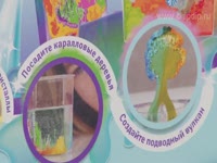 Научно-познавательный набор Коралловый остров