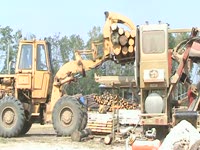 Loading the Twin Cut sawmill