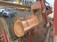 Twin Cut Short Stuff