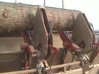 Twin Cut Log Rolling