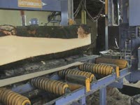 USTUNKARLI sawmills - debitare fag Caras Romania