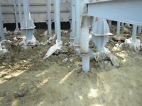 Японские технологии TНК-ВР. Россия - 21 век