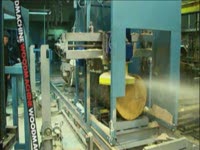 Дисковая углопильная пилорама "Гепард" 2