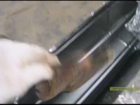 ремонт порогов BMW 520-535 (Е34)