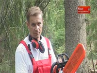 Бензопилы - какую приобрести? - Обсуждение садового оборудования 