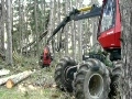 Лесозаготовка - Харвестер Valmet 941