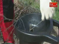 Электрический садовый измельчитель AL-KO New Tec 2400 R - Презентация садового оборудования 