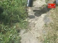 Cадовый пылесос ELITECH ВС 2000 - Видеообзор садового инструмента 