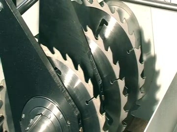 Мобильная пила RAIMANN RipAssist