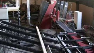 D9 - Автоматическая дисковая пилорама StrojCAD в Германии