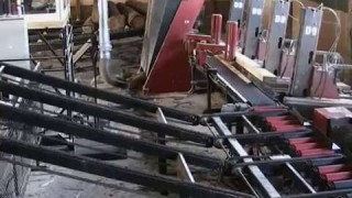 D9 - Автоматическая дисковая пилорама StrojCAD - презентационное видео с WOOD-TEC Brno fair