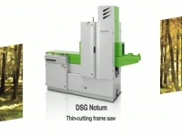 Рамнопильный станок WINTERSTEIGER DSG Notum