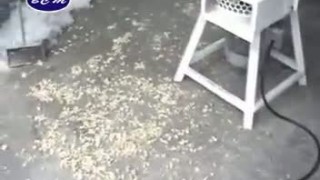 Дробилка поролона BC201