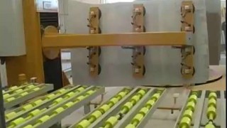 Станки по нанесению воска CG200/4 для плит