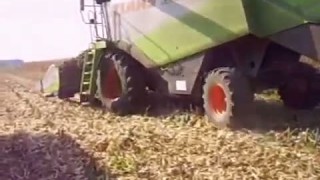 CLAAS Lexion 550 unloading - Сельхозтехника