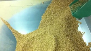 линия гранулирования