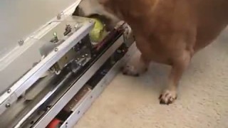 Джерри больше не нуждается в помощи для игры со своим мячом.