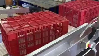 машина для мойки ящиков 600 ящиков в час