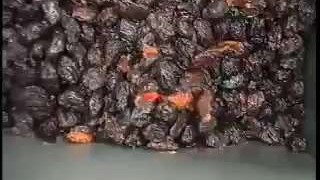 Сепараторы - пресса механической обвалки АМ2С