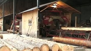 Горизонтальная ленточно-пильная установка SERRA Bavaria