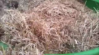 мобильная установка для производства пеллет (Германия)