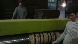 Станок ротационной высечки СРВ2100