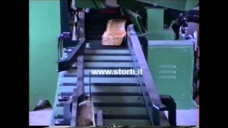 Лесопильная линия итальянского производителя STORTI