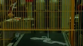 KUKA robot KR 16 operate at a plastics injection molding machine - Робототехника