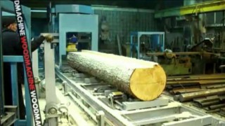 Дисковая углопильная пилорама "Гепард" - ВудМаш