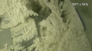 Брикетировочный пресс WEIMA C 150. Прессование бумажной пыли.