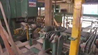 Мощная лини пиления полубруса Braun Canali