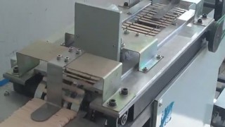 cанок для упаковки палочек в кассеты полуавтомат