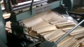 Лущильный станок для производства тарной дощечки