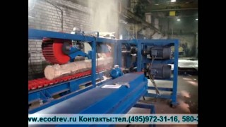 Arctant 560 "Экодрев-машинери"