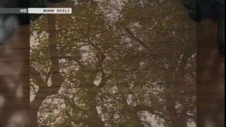 Sashimono - древние японские техники деревообработки